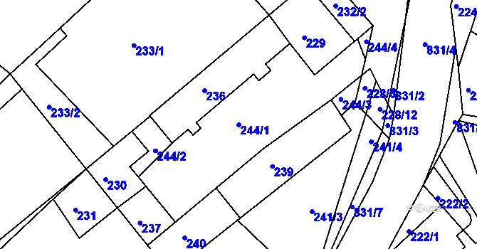 Parcela st. 244/1 v KÚ Tušť, Katastrální mapa