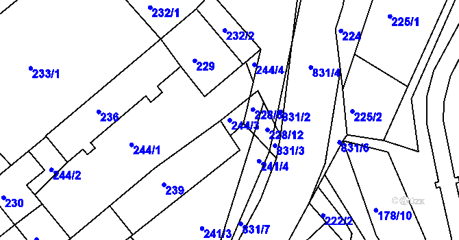 Parcela st. 244/3 v KÚ Tušť, Katastrální mapa