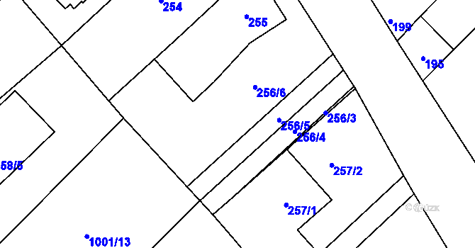 Parcela st. 256 v KÚ Tušť, Katastrální mapa
