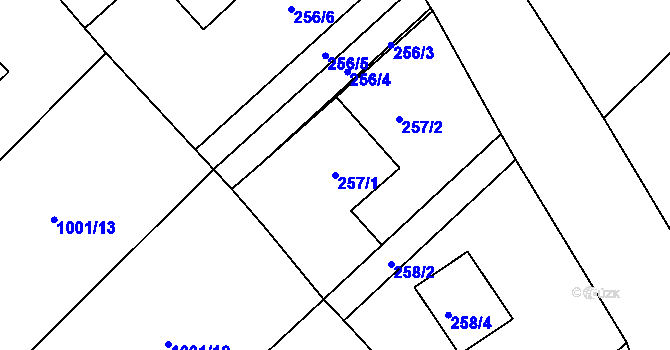 Parcela st. 257/1 v KÚ Tušť, Katastrální mapa