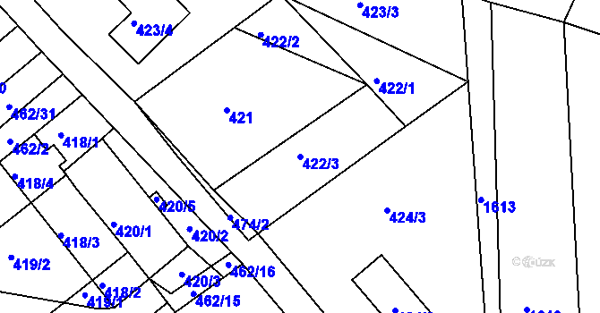 Parcela st. 422/3 v KÚ Tušť, Katastrální mapa