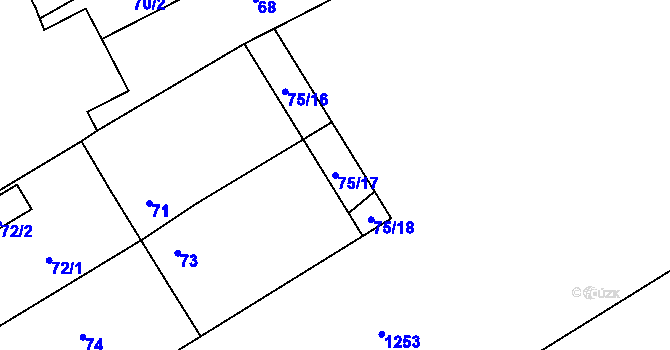 Parcela st. 75/17 v KÚ Tušť, Katastrální mapa