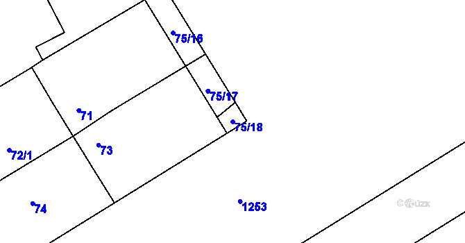 Parcela st. 75/18 v KÚ Tušť, Katastrální mapa