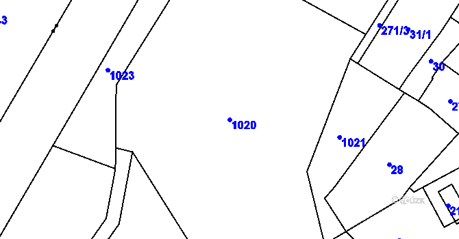 Parcela st. 1020 v KÚ Tušť, Katastrální mapa