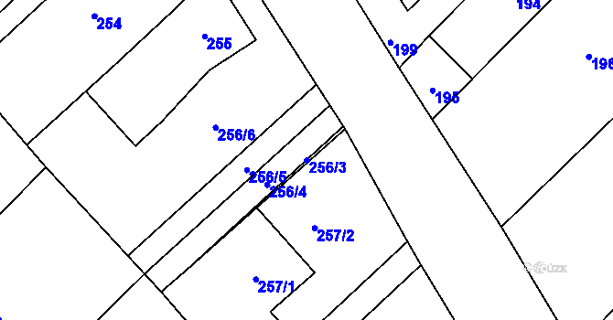 Parcela st. 256/3 v KÚ Tušť, Katastrální mapa