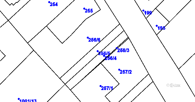 Parcela st. 256/5 v KÚ Tušť, Katastrální mapa