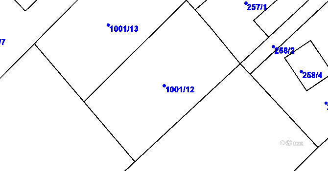 Parcela st. 1001/12 v KÚ Tušť, Katastrální mapa