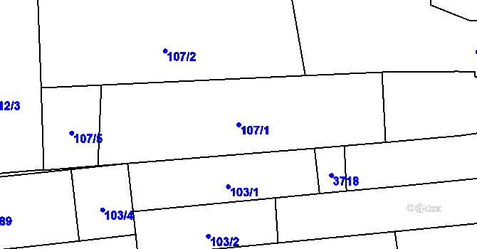 Parcela st. 107/1 v KÚ Tvarožná Lhota, Katastrální mapa