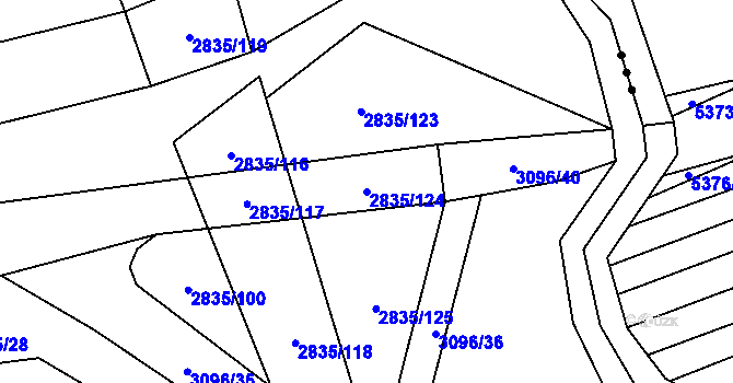 Parcela st. 2835/124 v KÚ Tvarožná Lhota, Katastrální mapa