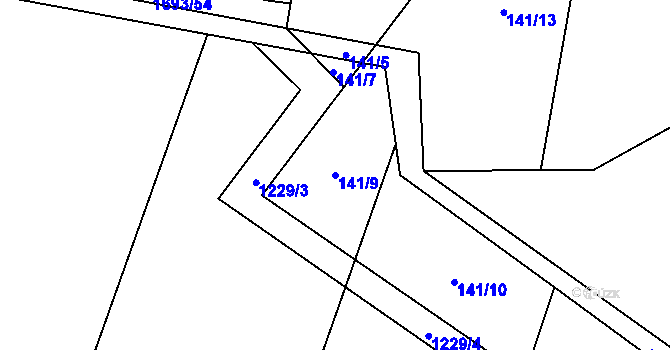 Parcela st. 141/9 v KÚ Tvořihráz, Katastrální mapa