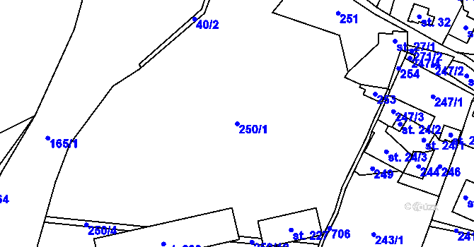 Parcela st. 250/1 v KÚ Tvrdkov, Katastrální mapa