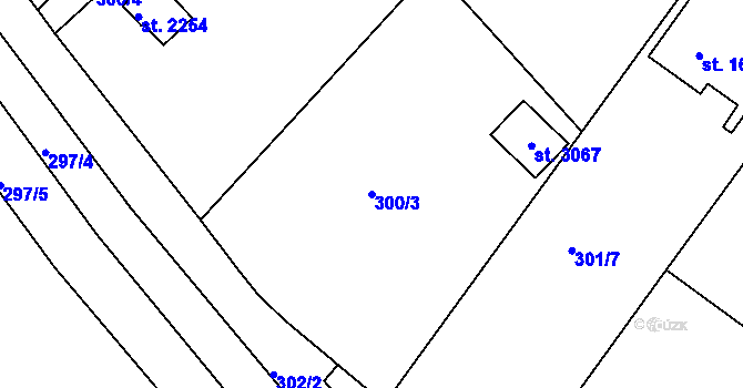 Parcela st. 300/3 v KÚ Týn nad Vltavou, Katastrální mapa