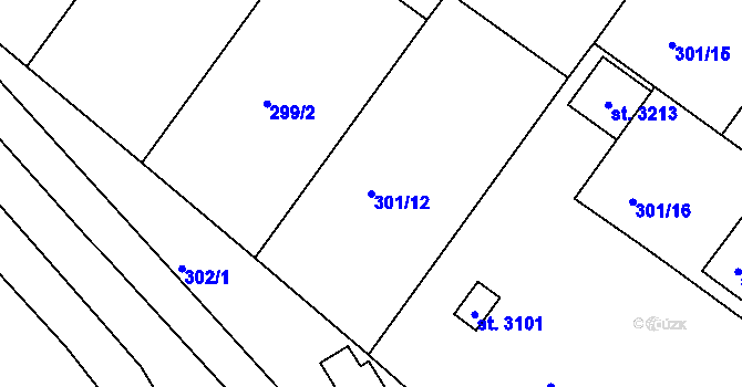 Parcela st. 301/12 v KÚ Týn nad Vltavou, Katastrální mapa