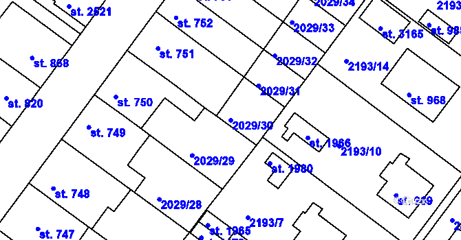 Parcela st. 2029/30 v KÚ Týn nad Vltavou, Katastrální mapa