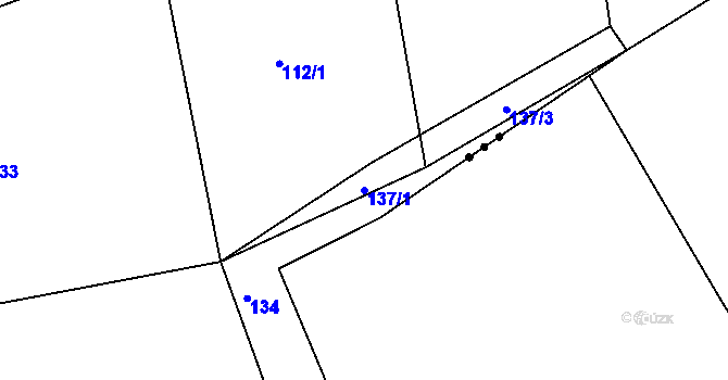 Parcela st. 137/1 v KÚ Javor, Katastrální mapa
