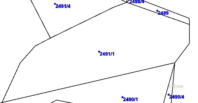 Parcela st. 2491/1 v KÚ Týnec nad Sázavou, Katastrální mapa