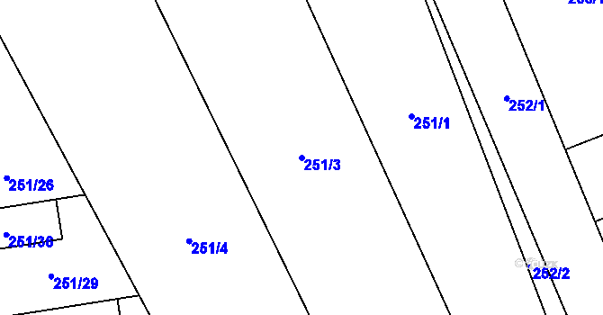 Parcela st. 251/3 v KÚ Týneček, Katastrální mapa