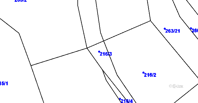 Parcela st. 216/3 v KÚ Týnišťko, Katastrální mapa