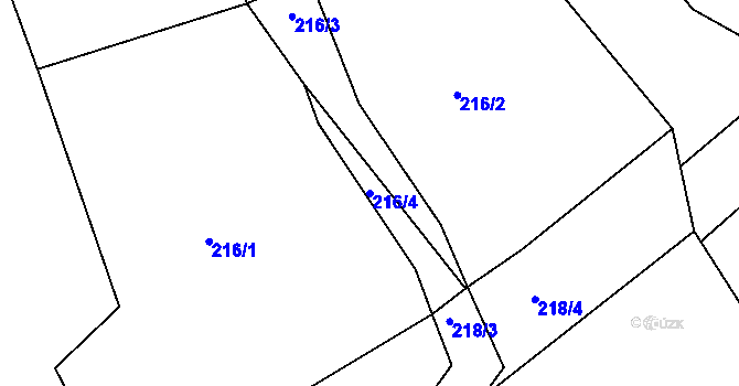 Parcela st. 216/4 v KÚ Týnišťko, Katastrální mapa