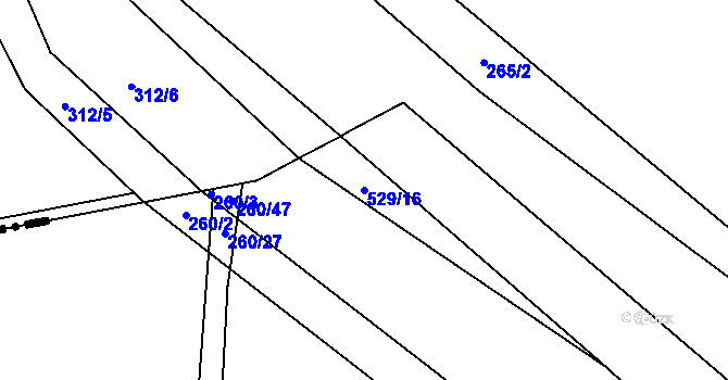 Parcela st. 529/16 v KÚ Týnišťko, Katastrální mapa