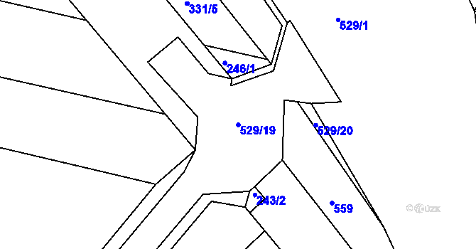 Parcela st. 529/19 v KÚ Týnišťko, Katastrální mapa