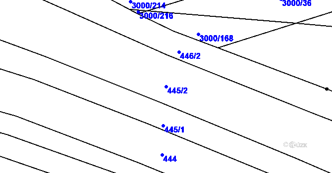 Parcela st. 445/2 v KÚ Sady, Katastrální mapa