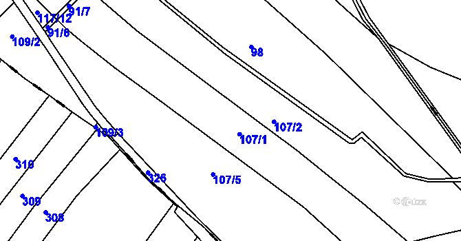 Parcela st. 107 v KÚ Rasochy, Katastrální mapa