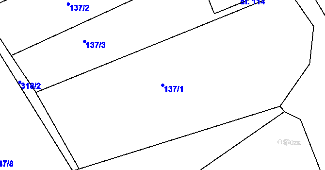 Parcela st. 137/1 v KÚ Rasochy, Katastrální mapa
