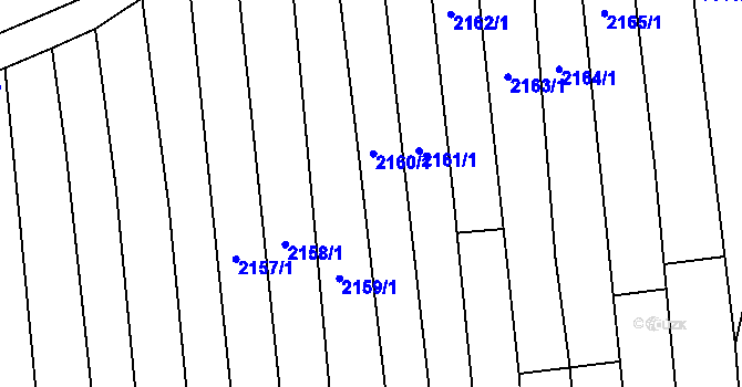 Parcela st. 2160/1 v KÚ Prasklice, Katastrální mapa