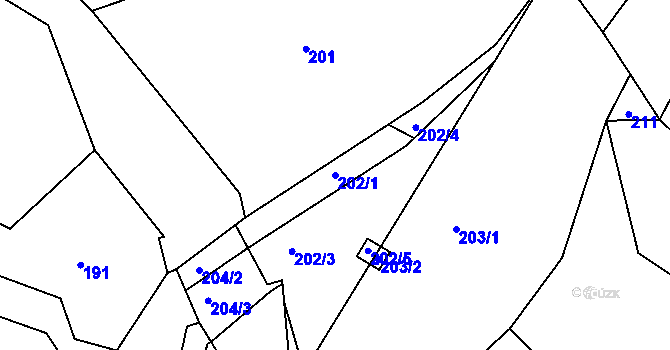 Parcela st. 202/1 v KÚ Pitkovice, Katastrální mapa