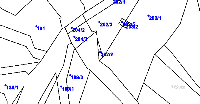Parcela st. 202/2 v KÚ Pitkovice, Katastrální mapa