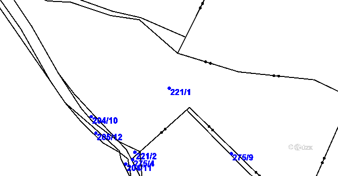 Parcela st. 221/1 v KÚ Pitkovice, Katastrální mapa