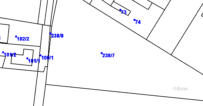 Parcela st. 238/7 v KÚ Pitkovice, Katastrální mapa