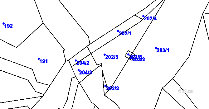 Parcela st. 202/3 v KÚ Pitkovice, Katastrální mapa