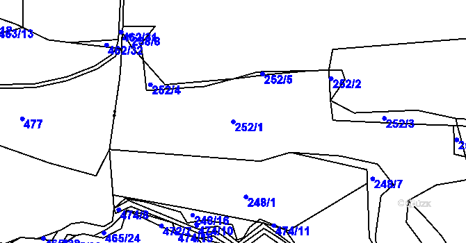 Parcela st. 252/1 v KÚ Pitkovice, Katastrální mapa