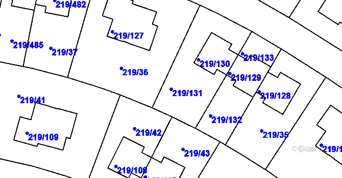 Parcela st. 219/131 v KÚ Pitkovice, Katastrální mapa