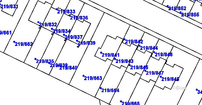 Parcela st. 219/841 v KÚ Pitkovice, Katastrální mapa