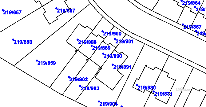Parcela st. 219/890 v KÚ Pitkovice, Katastrální mapa