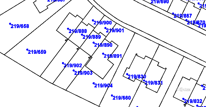 Parcela st. 219/891 v KÚ Pitkovice, Katastrální mapa