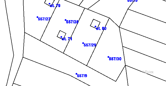 Parcela st. 557/29 v KÚ Urbanov, Katastrální mapa