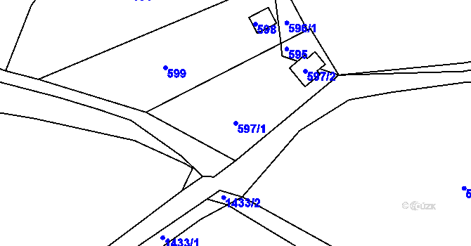 Parcela st. 597/1 v KÚ Seloutky, Katastrální mapa
