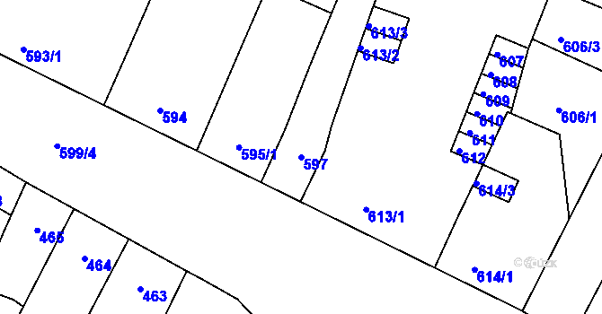 Parcela st. 597 v KÚ Trmice, Katastrální mapa