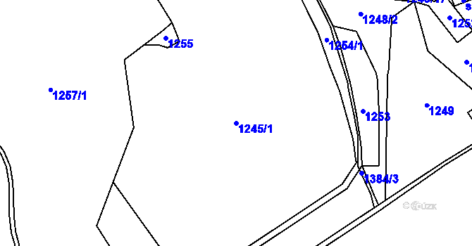 Parcela st. 1245/1 v KÚ Hylváty, Katastrální mapa