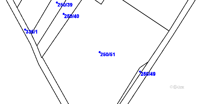 Parcela st. 250/51 v KÚ Radvanice nad Sázavou, Katastrální mapa