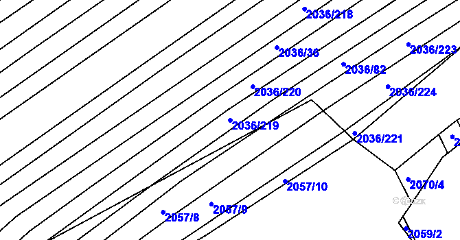 Parcela st. 2036/219 v KÚ Vacenovice u Kyjova, Katastrální mapa