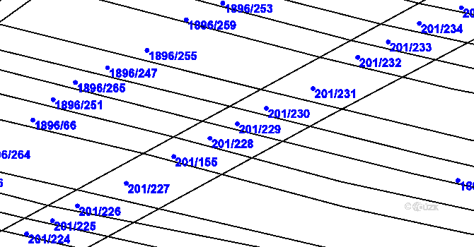 Parcela st. 201/229 v KÚ Vacenovice u Kyjova, Katastrální mapa
