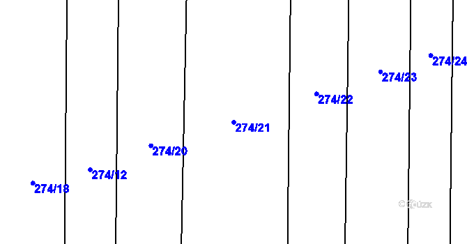 Parcela st. 274/21 v KÚ Drválovice, Katastrální mapa