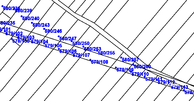 Parcela st. 580/255 v KÚ Královopolské Vážany, Katastrální mapa
