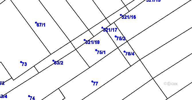 Parcela st. 75/1 v KÚ Vítovice, Katastrální mapa
