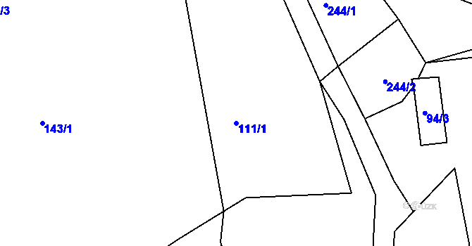 Parcela st. 111/1 v KÚ Vědlice, Katastrální mapa